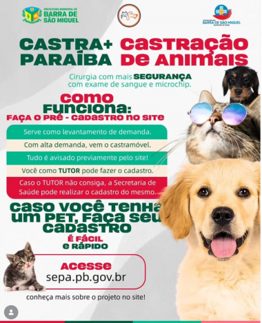 Imagem de destaque